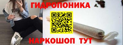 apvp Дубна