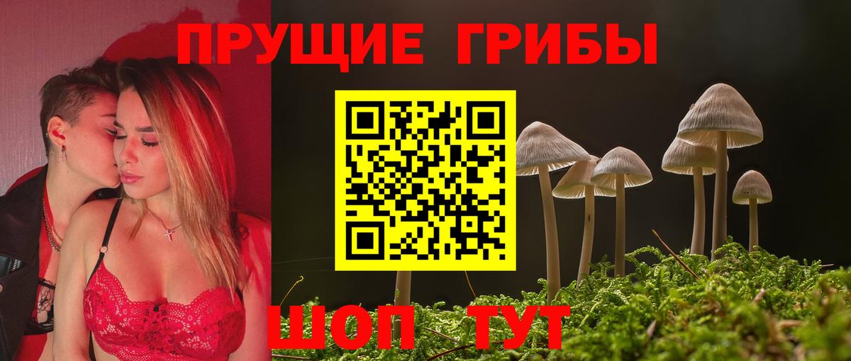 Мурманск  Галлюциногенные грибы GOLDEN TEACHER  Вход с VPN 